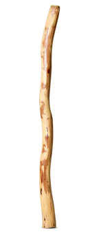 Medium Size Natural Finish Didgeridoo (TW1706)